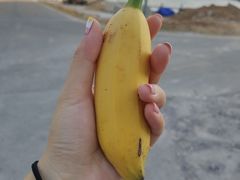 -东澳岛
