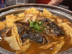-邵年鸽(杨庄店)