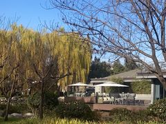 -唐城墙遗址公园