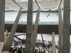 -天津自然博物馆