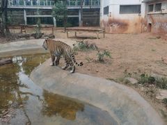 -昆明动物园