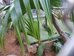 -昆明洲际酒店