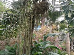 -南山植物园