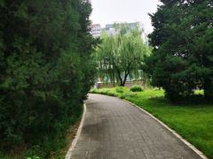 -元大都城垣遗址公园