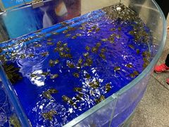 -东江海鲜酒家(艺都分店)