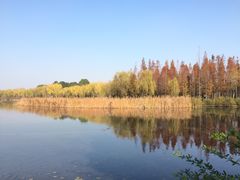 -暨阳湖生态园