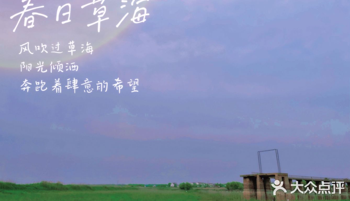 南京周边寻春路线