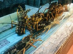 水产区-海逸海鲜酒家(古北店)