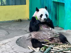-杭州野生动物世界