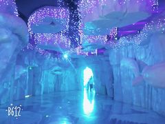 -芜湖新华联大白鲸海洋公园