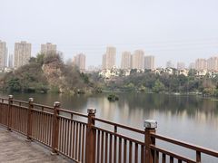-重庆彩云湖湿地公园