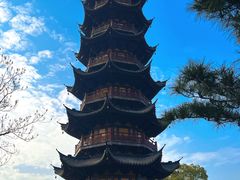 -龙华素斋(龙华路店)