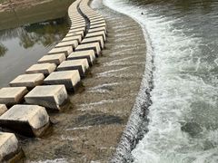 -洨河生态公园