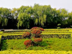 -洛阳市隋唐城遗址植物园