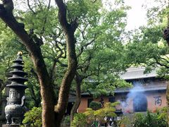 -普陀山风景名胜区-法雨禅寺