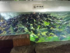 -泉城欧乐堡海洋极地世界