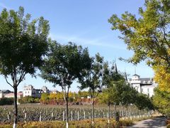 -北京张裕爱斐堡酒庄