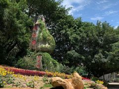 -雁南飞茶田景区