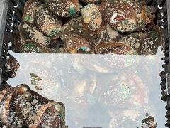 鲍鱼-马王堆海鲜水产市场