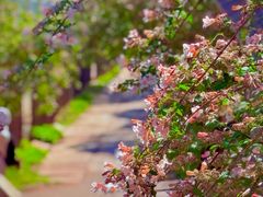 -国家植物园南园