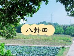 -八卦田遗址公园