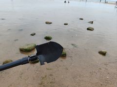 -仰口沙滩