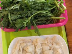 -15年老字号鑫鑫猪肚鸡·椰子鸡海南火锅(兴隆华侨农场店)