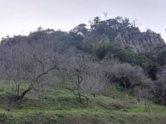 -广州市石门国家森林公园