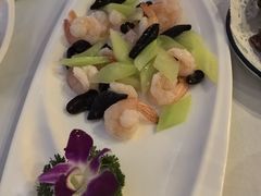 -云中小雅