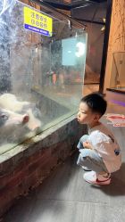 -未来动物城主题公园(正弘城店)