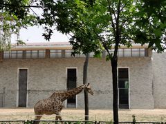 -石家庄市动物园