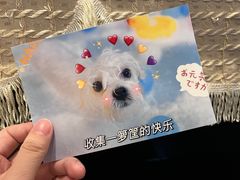 -佐罗家宠物馆·猫文化馆(紫霞路店)