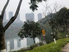 -重庆彩云湖湿地公园