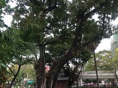 -荔湾博物馆