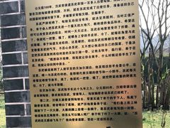 -重庆彩云湖湿地公园