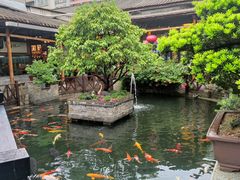 -猪肉婆私房菜(容桂总店)