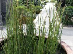 -雅达·阳羡溪山小镇中心