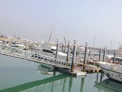 -日照海滨国家森林公园