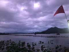 -茗醉园茶楼