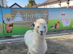 -太阳岛旅游度假区