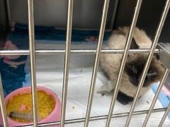 -达爱动物医院·犬猫分区·CT·复杂眼科(远洋山水分院)
