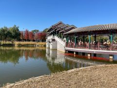 -西海子公园