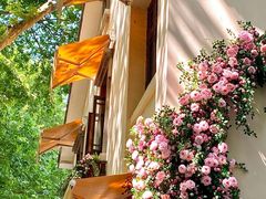 -也枫·小黄楼(南山路旗舰店)