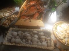 -东方明珠·可口可乐欢乐餐厅