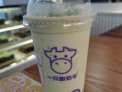 -一只酸奶牛(八一路店)