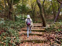 -广州市石门国家森林公园