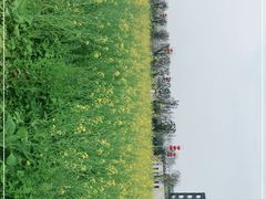 -光明小镇欢乐田园
