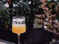-MEDISN·药厂