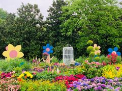 -上海共青森林公园