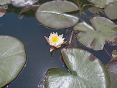 -昆明市金殿名胜区